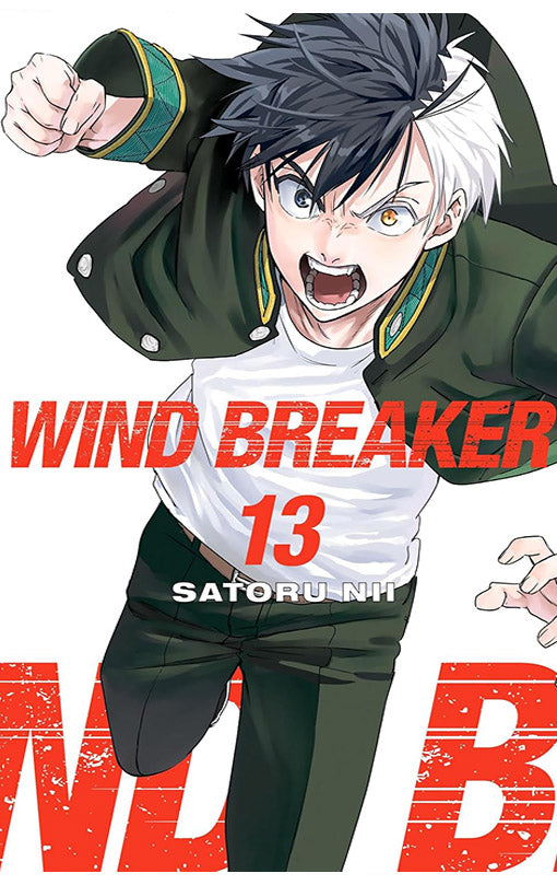Wind Breaker vol 13