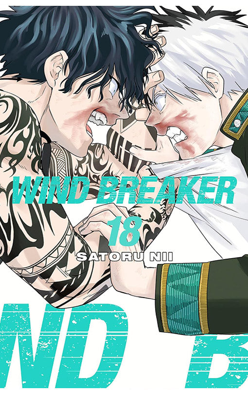 Wind Breaker vol 18
