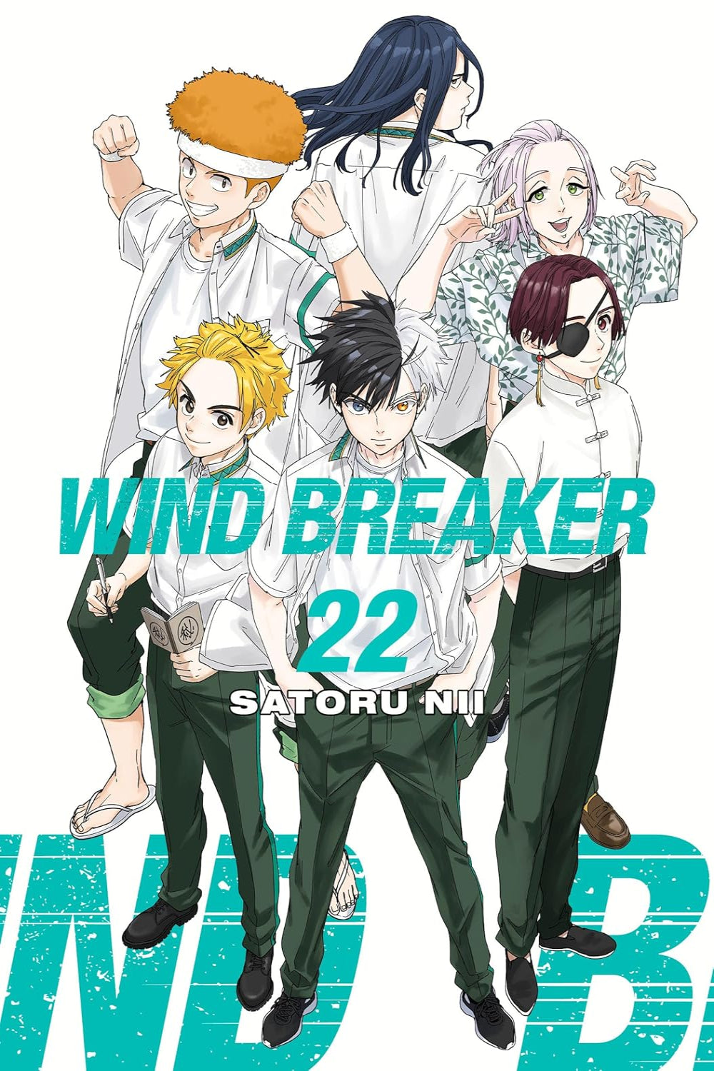 Wind Breaker vol 22