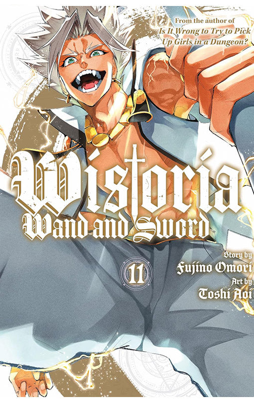 Wistoria Wand and Sword vol 11