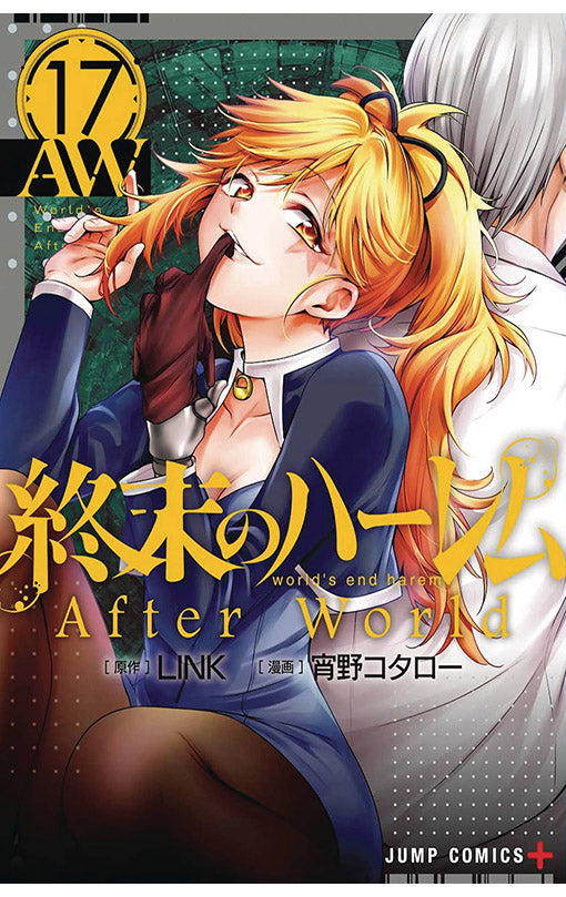 World's End Harem vol 17 After World