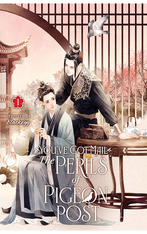 You've Got Mail The Perils of Pigeon Post Fei Ge Jiao You Xu Jin Shen vol 01 (Light Novel)